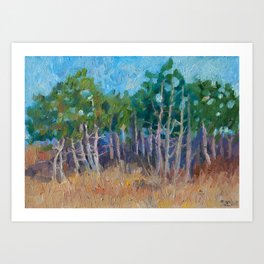 Pine Grove - Original Impressionism Landscape Oil Painting Art Print