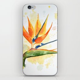 Birds of Paradise iPhone Skin