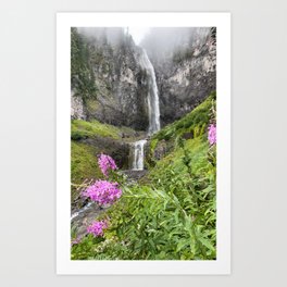 Comet Falls, Mt. Rainier National Park Art Print