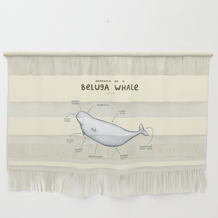 Anatomy of a Beluga Whale Wall Hanging