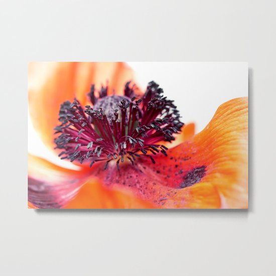 Eruption of colors... (II) Metal Print