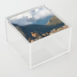 Little goats’ family in French Alps Acrylic Box