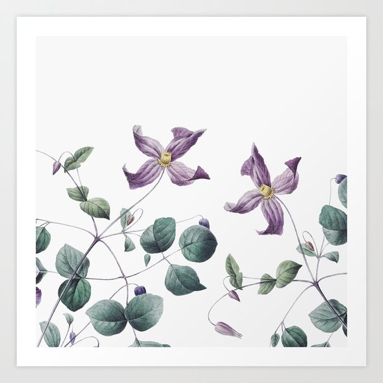 Vintage botanic II Art Print
