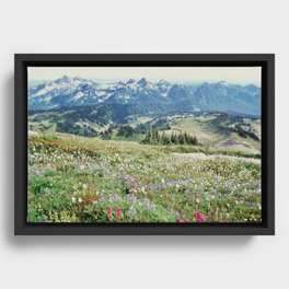 Wildflower Meadow Framed Canvas