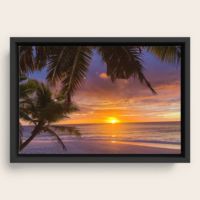 Framed Canvas