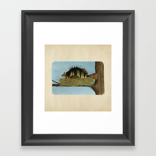 Hawkfish Framed Art Print