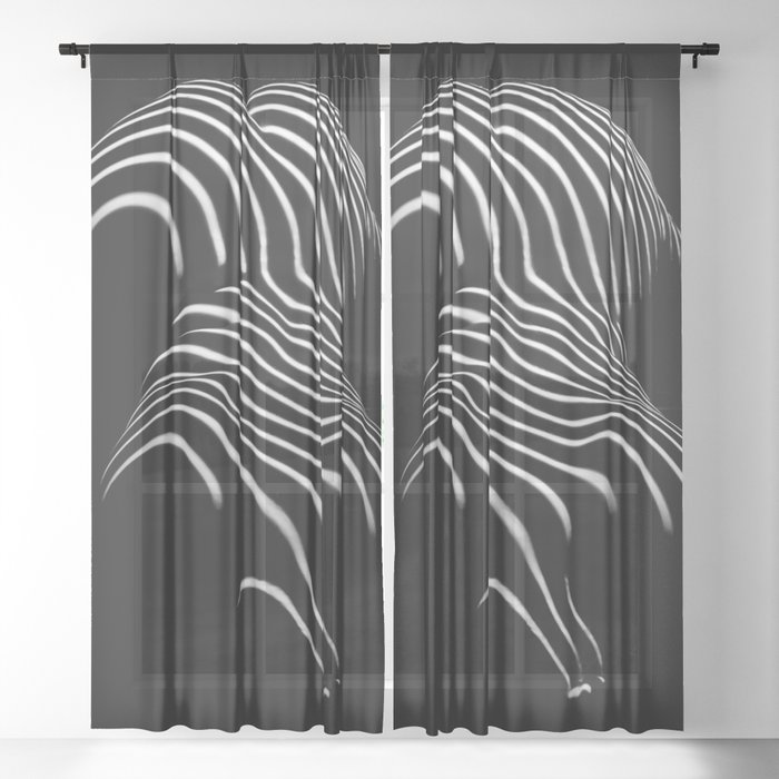 Sheer Curtain