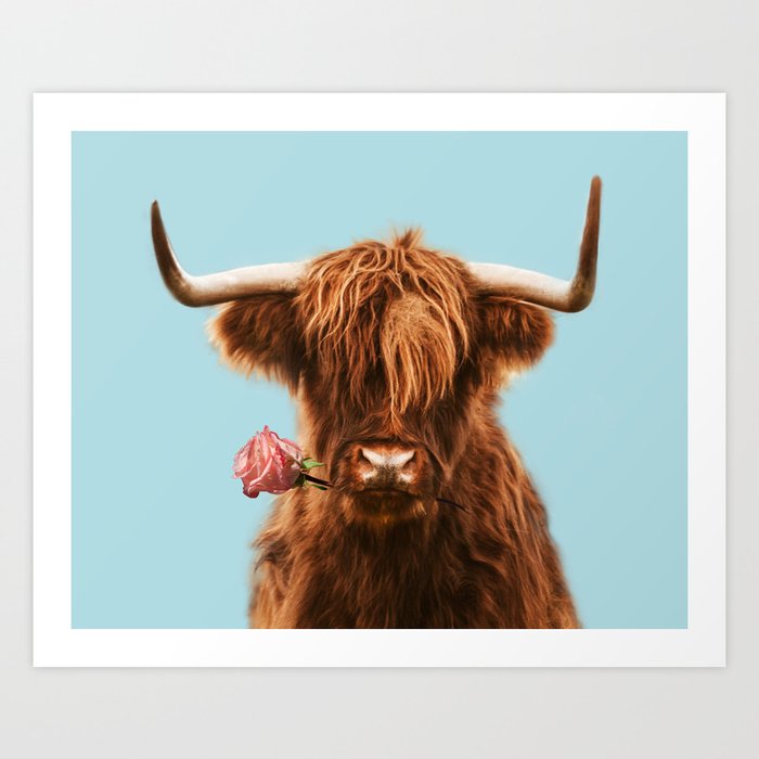 Sweet Highland cattle in blue Art Print