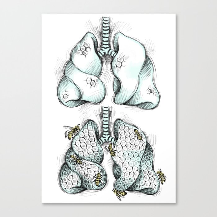 Honey Lungs Canvas Print