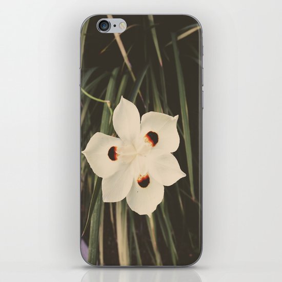Little White iPhone & iPod Skin
