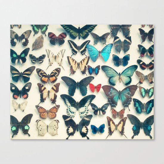 Wings Canvas Print