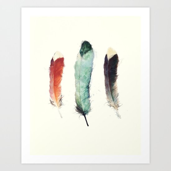 Feathers Art Print