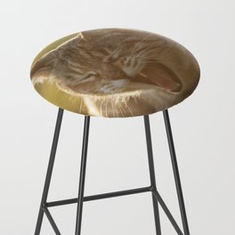 Silly face Bar Stool