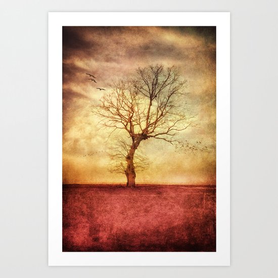 ATMOSPHERIC TREE - The golden sunset Art Print