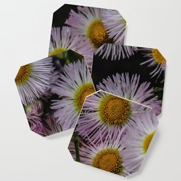 Purple Flowers Coaster