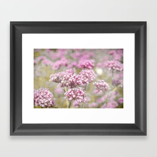 catmint Framed Art Print