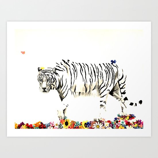 Beauty of a white tiger Art Print