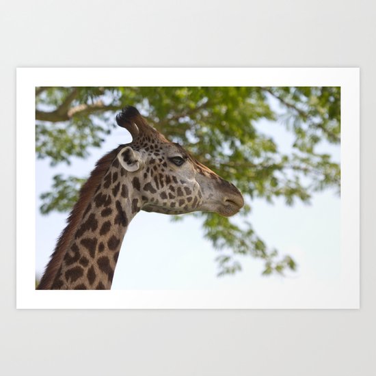Why wasn't the Giraffe invited to the party? Art Print