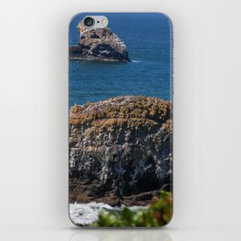 Rocks on Oregon Coast Beach Through Trees iPhone Skin