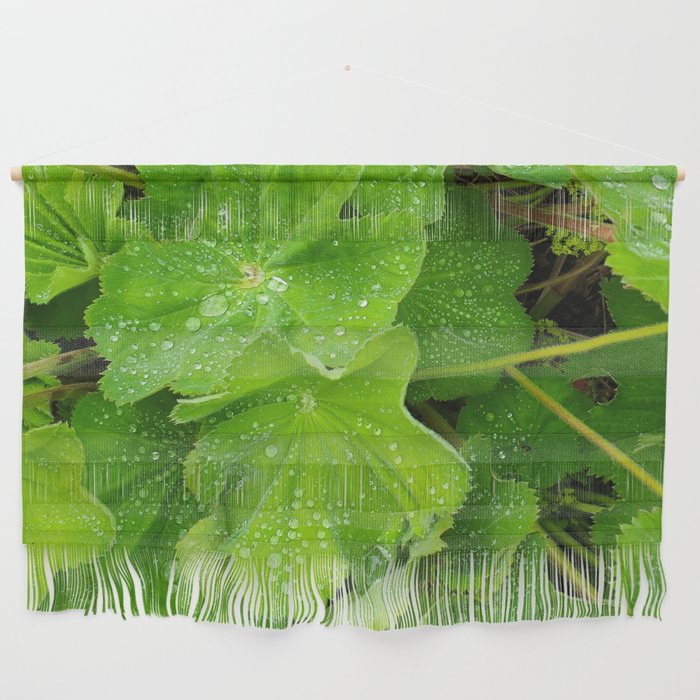 Dew Drops On The Green Leaves Wall Hanging
