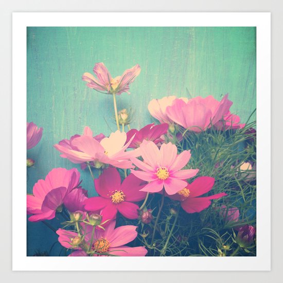 Pink Cosmos Art Print