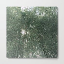 sun forest in muted green Metal Print | Treewall, Sustainable, Bambooforest, Woods, Sunforest, Timeless, Nature, Greenery, Classy, Sun 