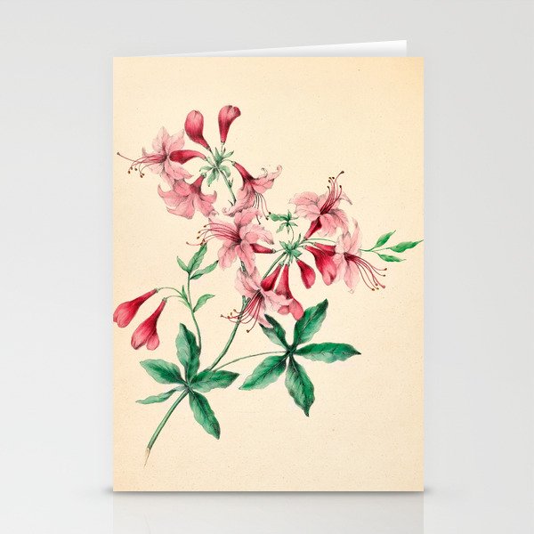  Wild honeysuckle by Clarissa Munger Badger, 1859 (benefitting The Nature Conservancy) Stationery Cards