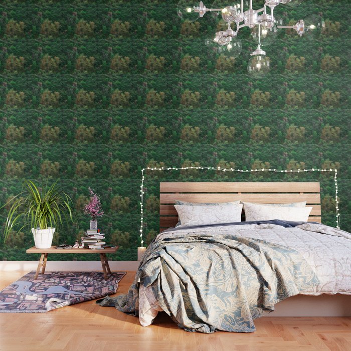 Rainforest Wallpaper