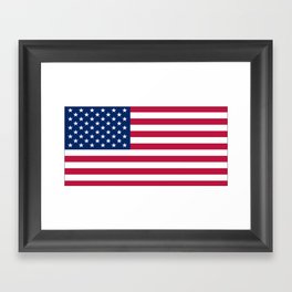 Flag of USA - American flag, flag of america, america, the stars and stripes,us, united states Framed Art Print