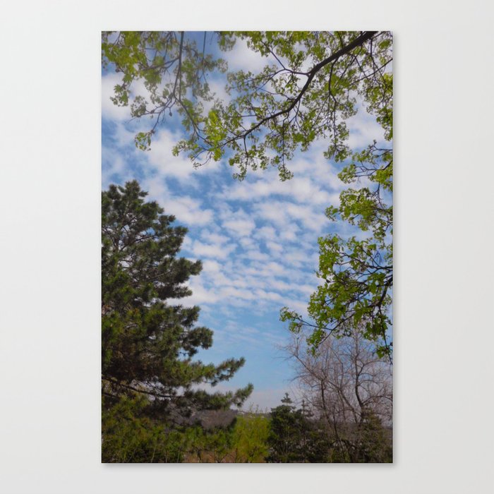 Summer park landscape with lacy clouds Canvas Print