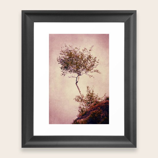 betulla Framed Art Print