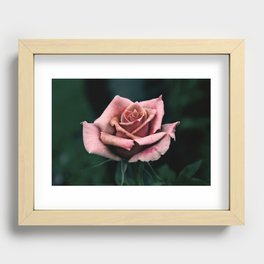 Perfect Rose Recessed Framed Print