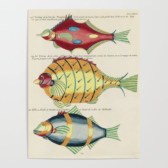 fish Poster