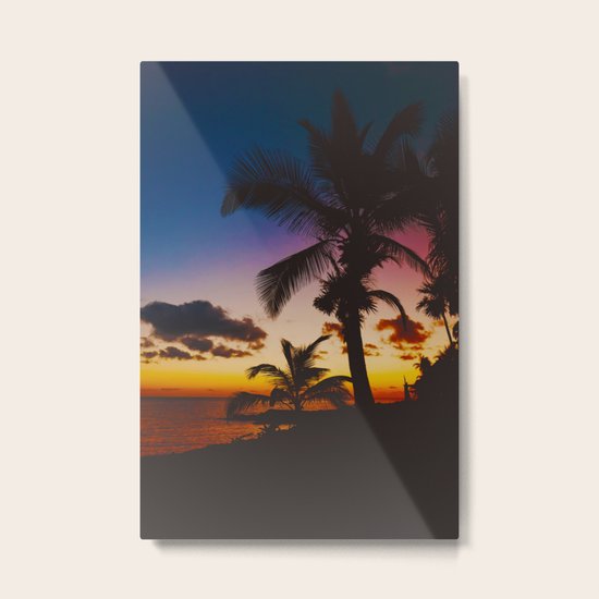Palm Spring Metal Print