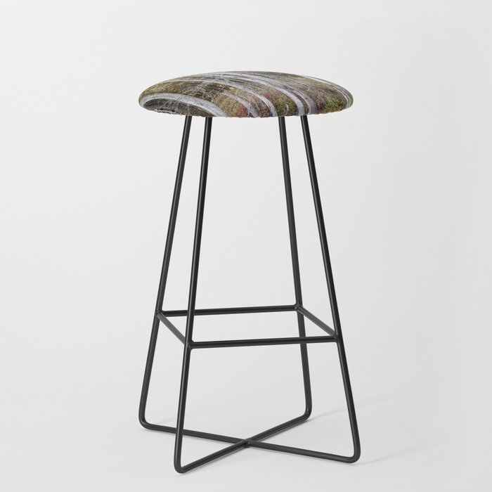 stand of trees in fall Bar Stool