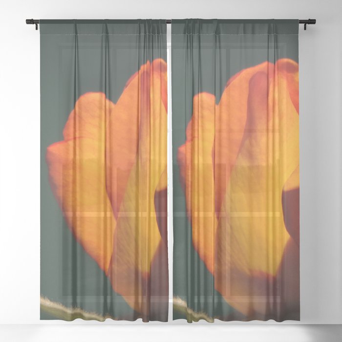 Tequila sunrise rosebud Sheer Curtain by JMB23 Society6