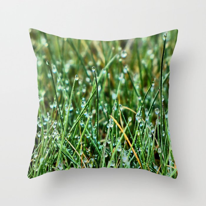 Scottish Highlands Spring Dew in I Art Throw Pillow