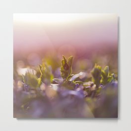 Above the clouds Metal Print