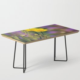 Buttercup Blues Coffee Table
