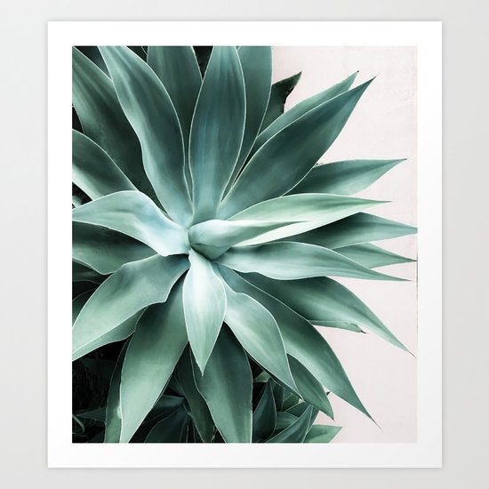 Bursting into life Art Print