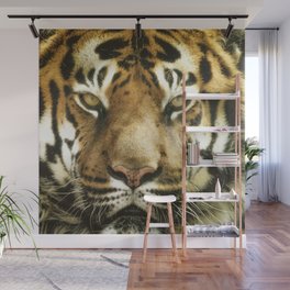Wild Animals Wall Murals Society6