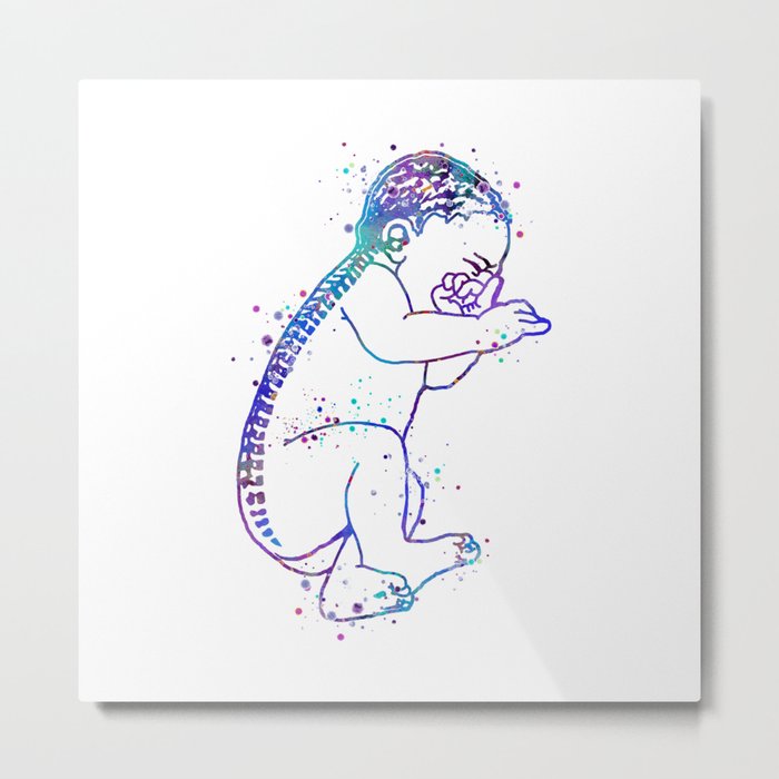 Baby Art Colorful Blue Purple Watercolor Art Spine Art Brain Art Pregnancy Gift Newborn Midwife Gift Metal Print