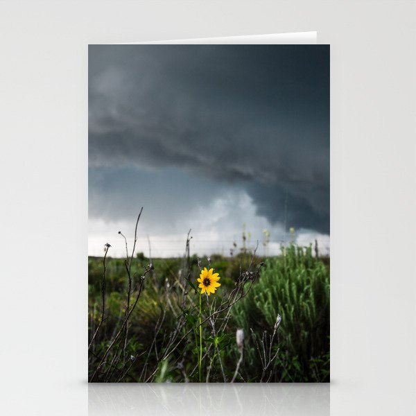 Stormflower - Sunflower and Storm in Texas Stationery Cards