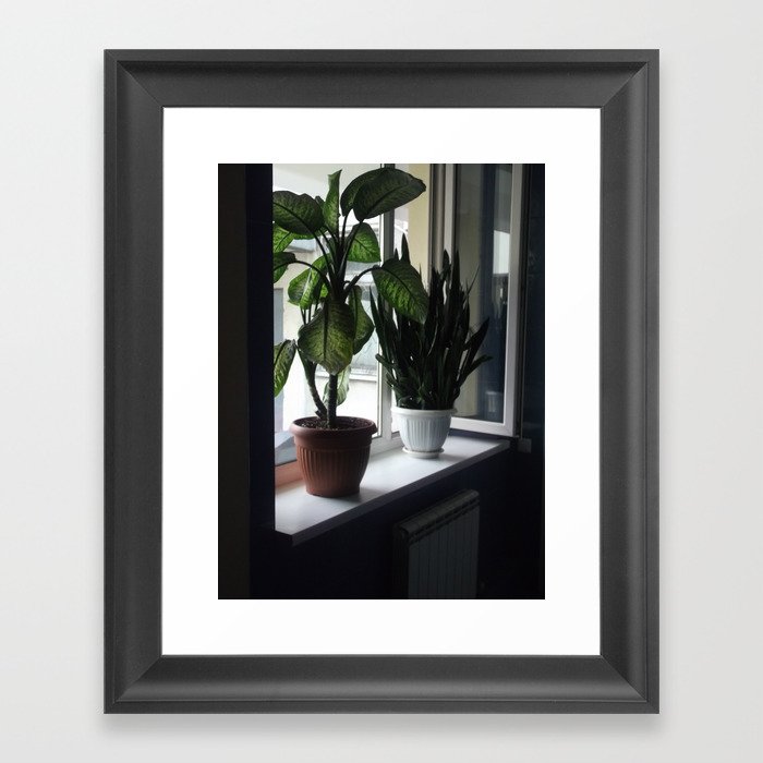 006 Framed Art Print