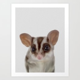Sugar Glider Art Prints For Any Decor Style Society6