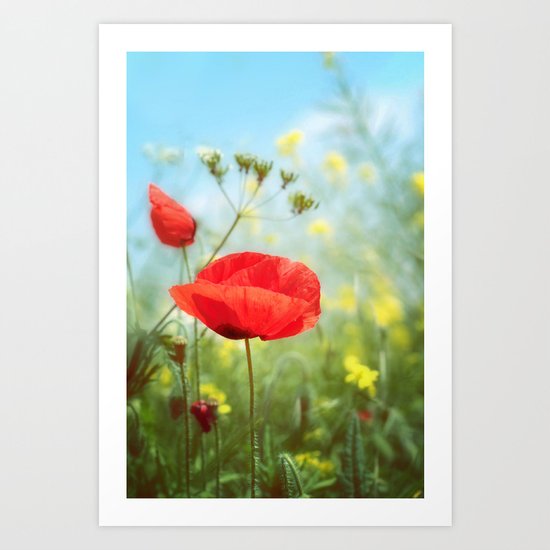 Technicolour Poppy Art Print