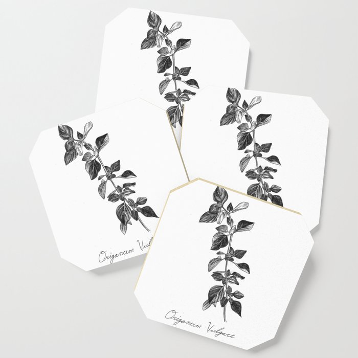 Oregano Botanical Illustration Coaster