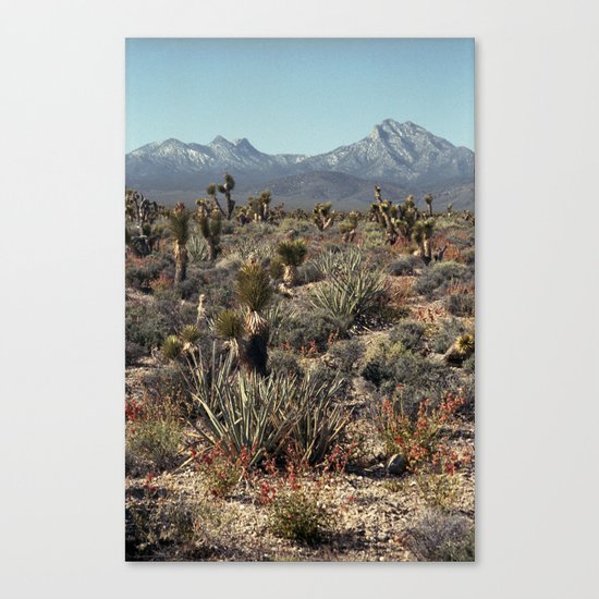 Cold Creek, Nevada Canvas Print