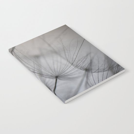 Nature's Geometry Notebook