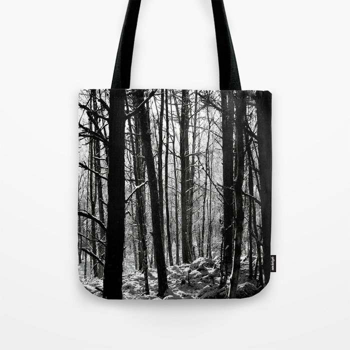 Birch and Pine Trees Amongst the Snow in Black and White Tote Bag